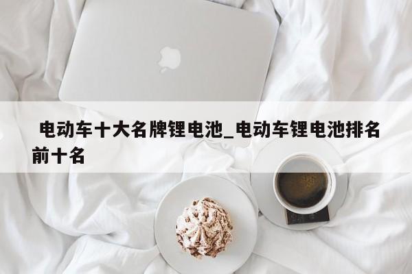 电动车十大名牌锂电池_电动车锂电池排名前十名