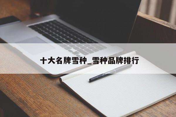 十大名牌雪种_雪种品牌排行