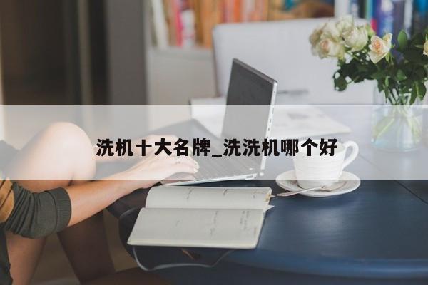 洗机十大名牌_洗洗机哪个好