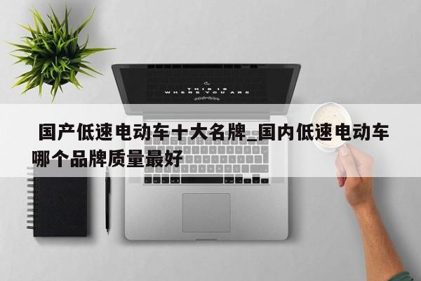 国产低速电动车十大名牌_国内低速电动车哪个品牌质量最好