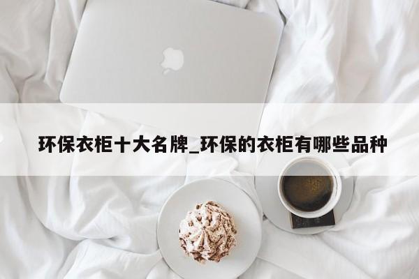 环保衣柜十大名牌_环保的衣柜有哪些品种