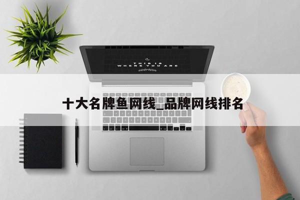 十大名牌鱼网线_品牌网线排名