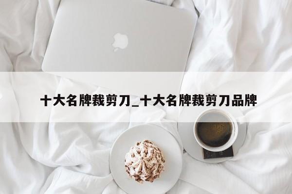 十大名牌裁剪刀_十大名牌裁剪刀品牌