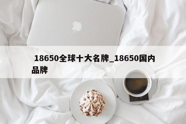 18650全球十大名牌_18650国内品牌