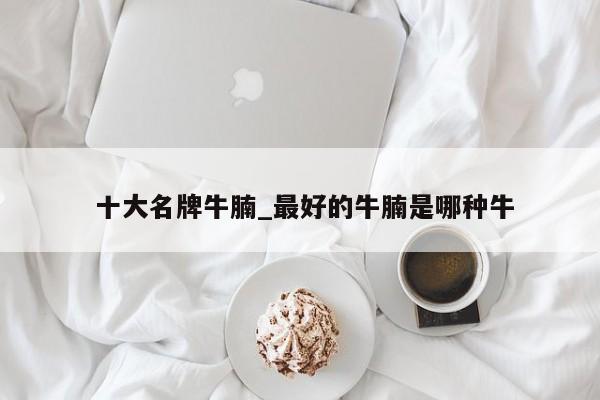 十大名牌牛腩_最好的牛腩是哪种牛