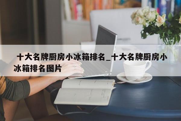 十大名牌厨房小冰箱排名_十大名牌厨房小冰箱排名图片