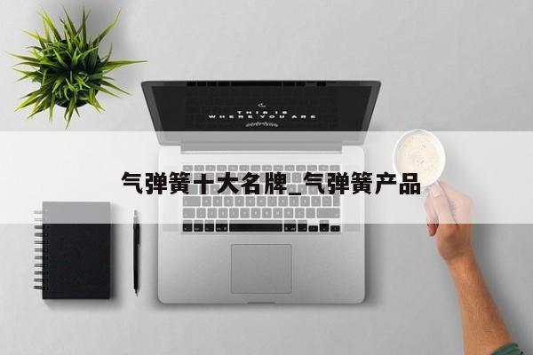 气弹簧十大名牌_气弹簧产品