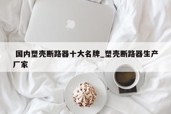 国内塑壳断路器十大名牌_塑壳断路器生产厂家